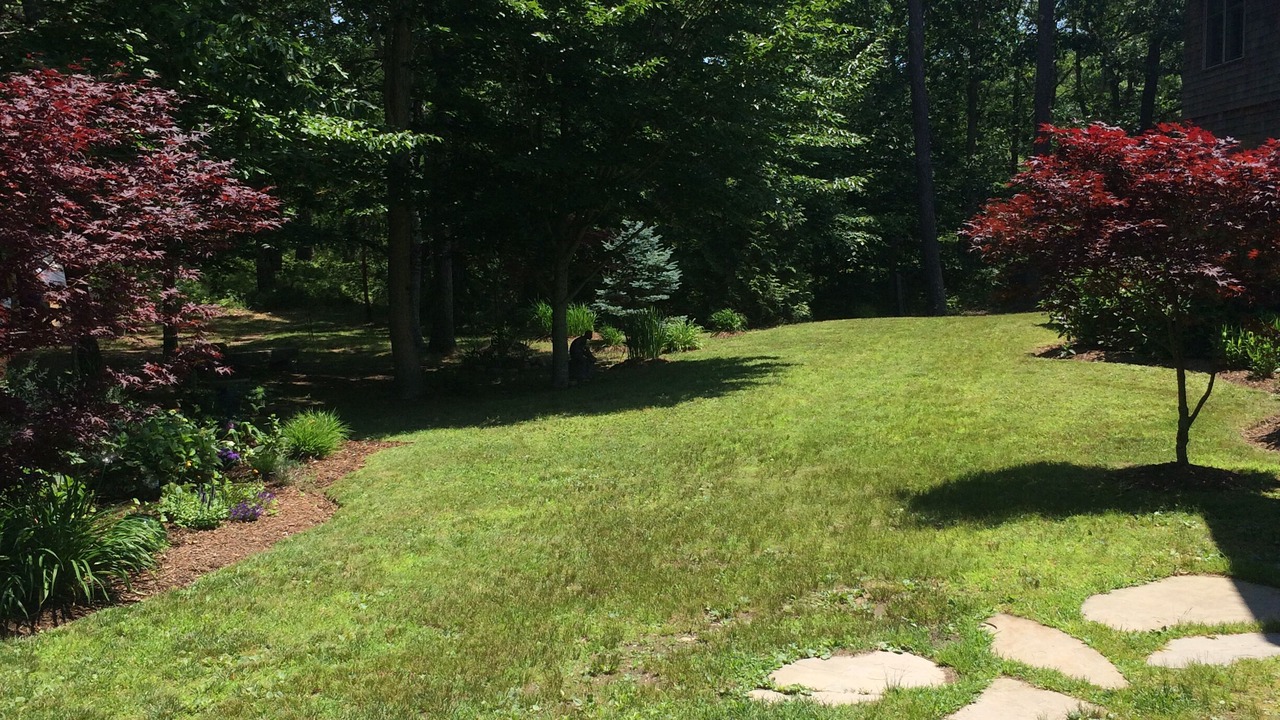 Photo of Outdoor in West Tisbury