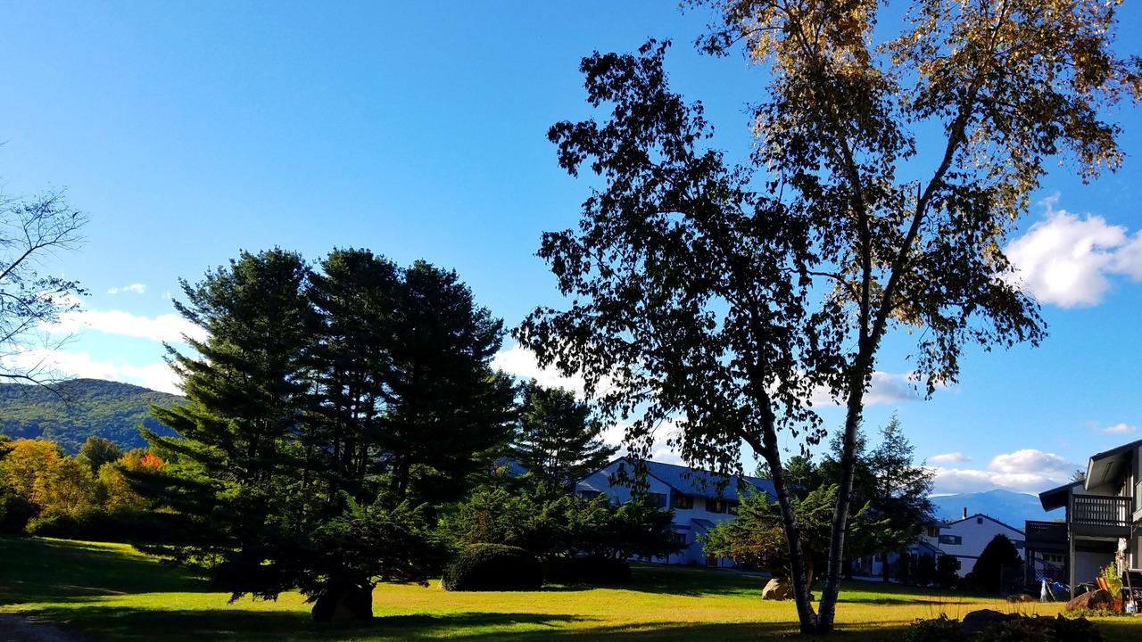 Photo of Outdoor in Bartlett