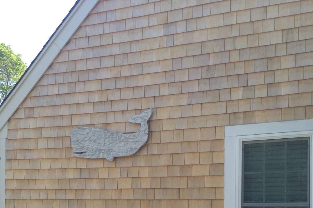 Photo of Outdoor in Hyannis