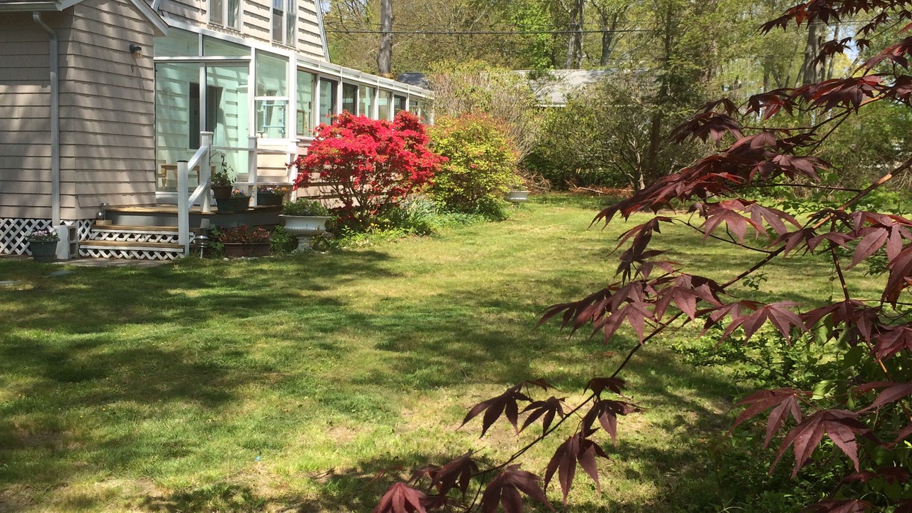 Photo of Outdoor in Niantic