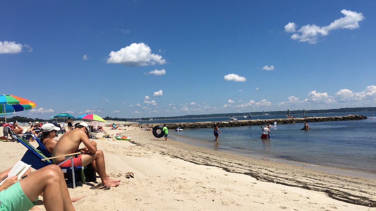 Photo of Others in Niantic