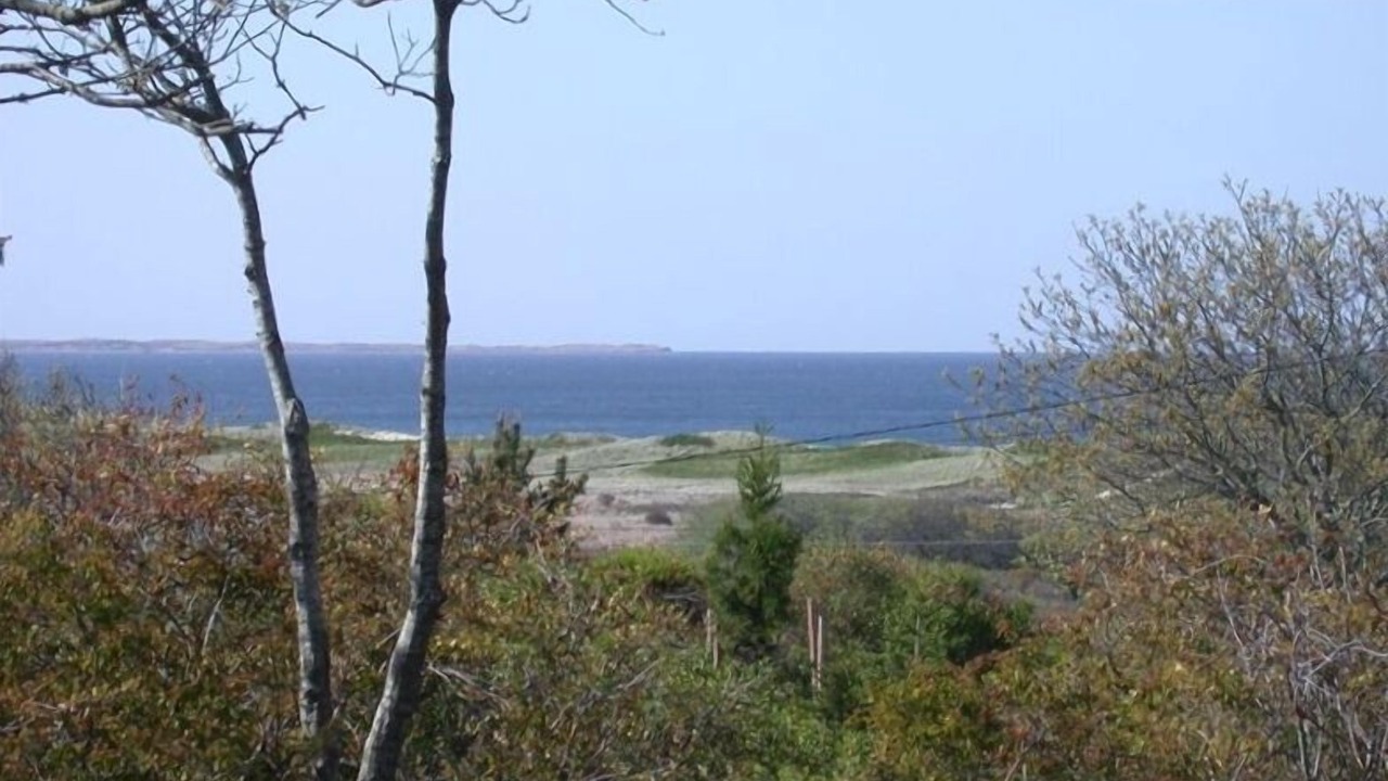 Photo of Others in Aquinnah