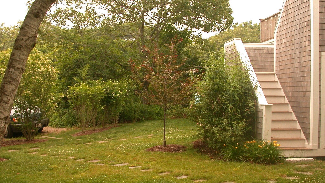 Photo of Outdoor in Aquinnah