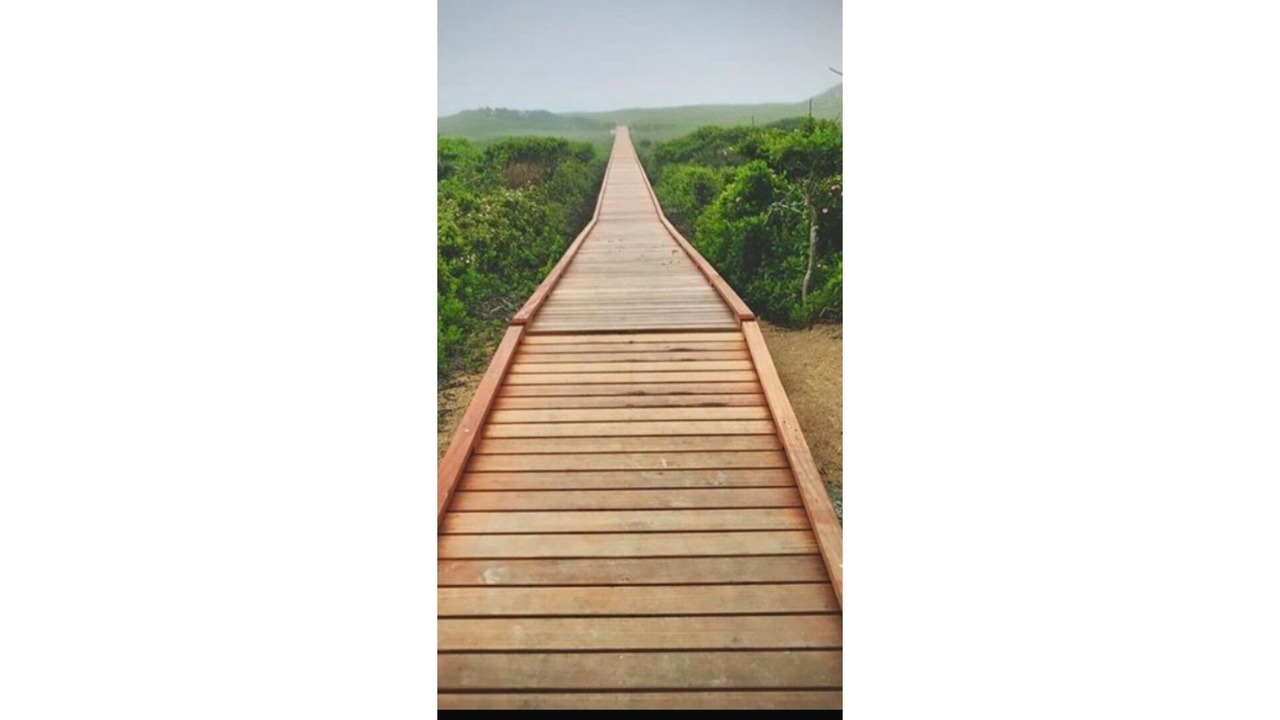 Photo of Others in Aquinnah