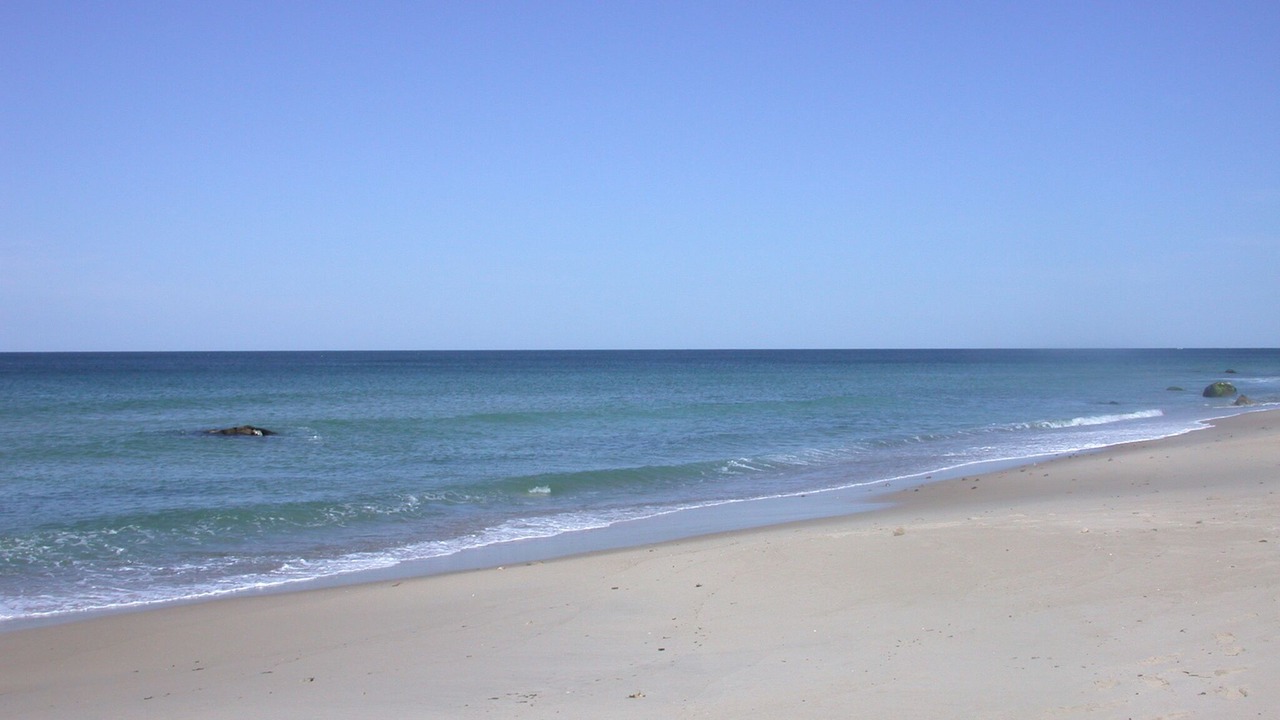 Photo of Others in Aquinnah