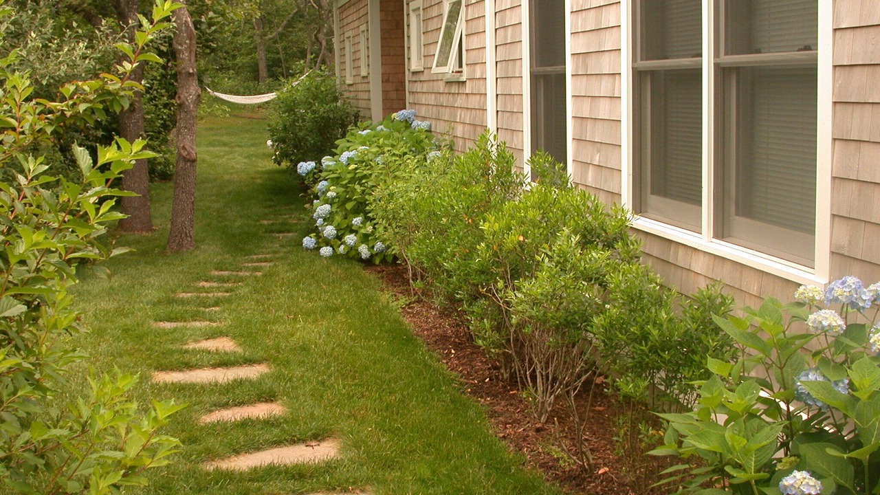 Photo of Outdoor in Aquinnah