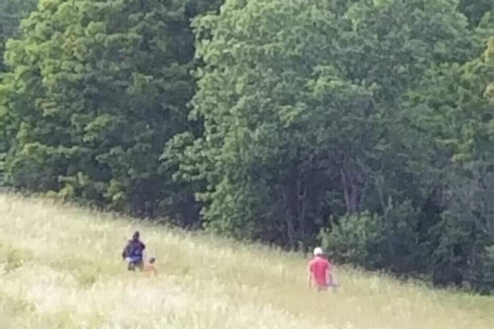 Photo of Others in Newport