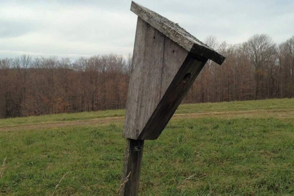 Photo of Others in Stamford