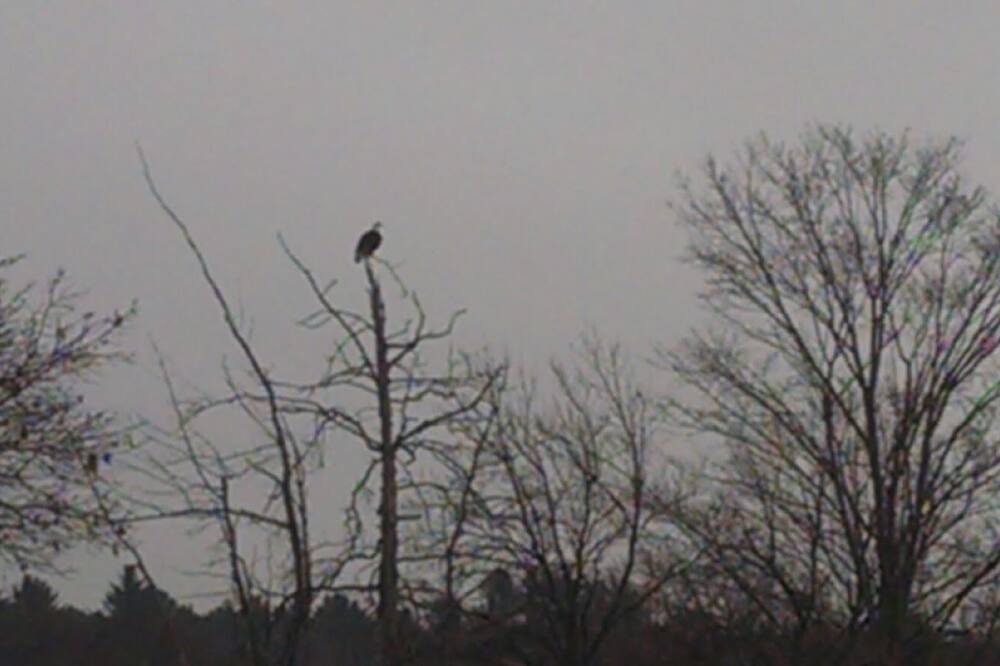Photo of Others in Barnstead