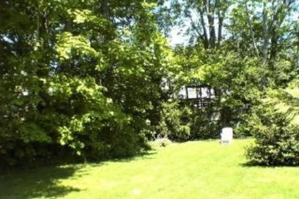 Photo of Others in Tisbury