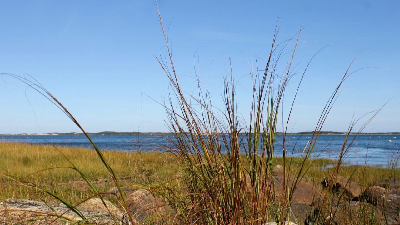Photo of Others in Barnstable