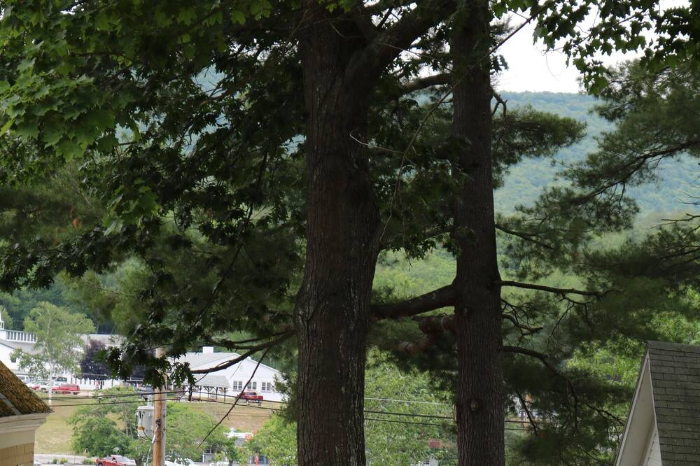 Photo of Others in Alton Bay