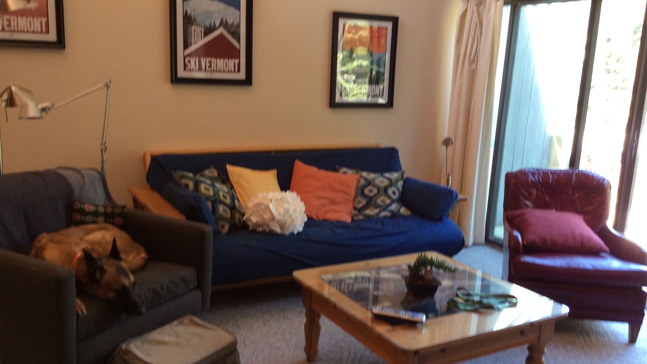 Photo of Livingroom in East Burke