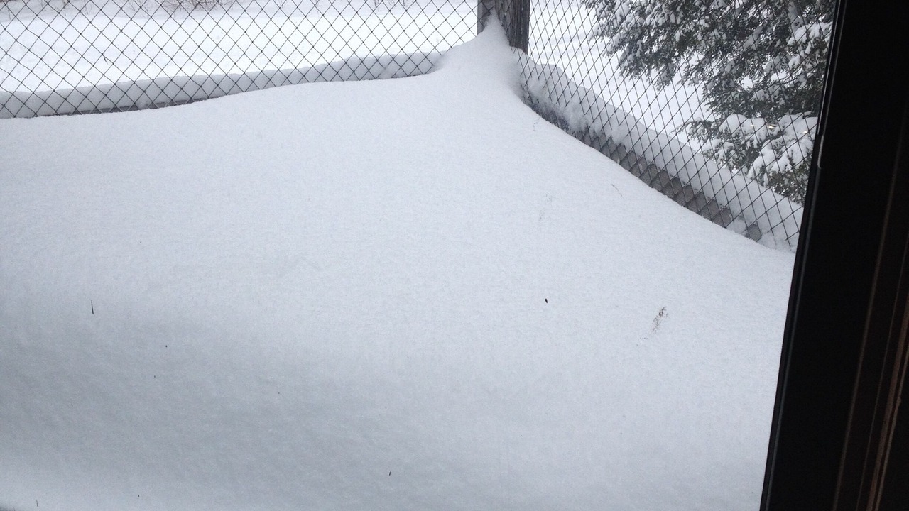 Photo of Others in East Burke