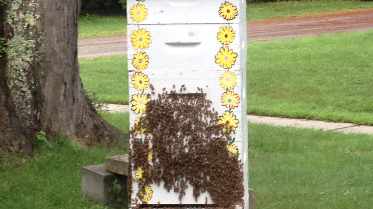 Photo of Others in Proctorsville
