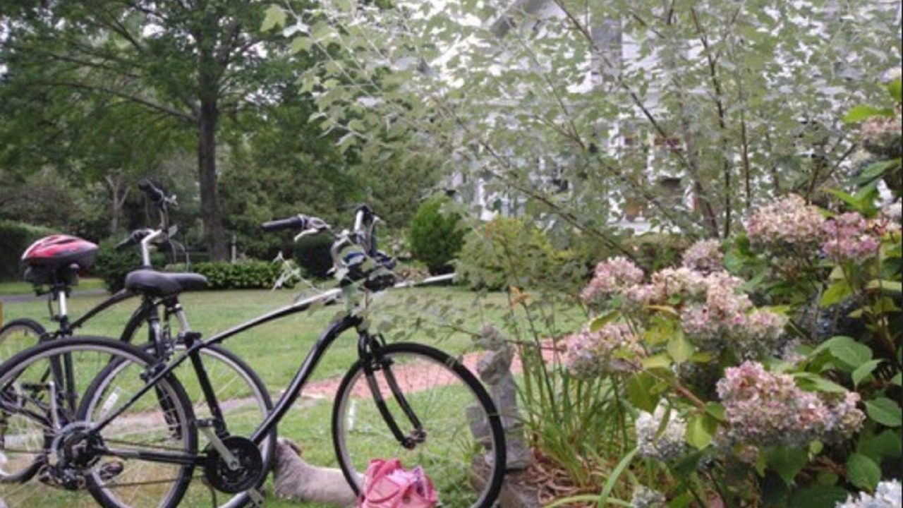 Photo of Outdoor in Top of the Hill