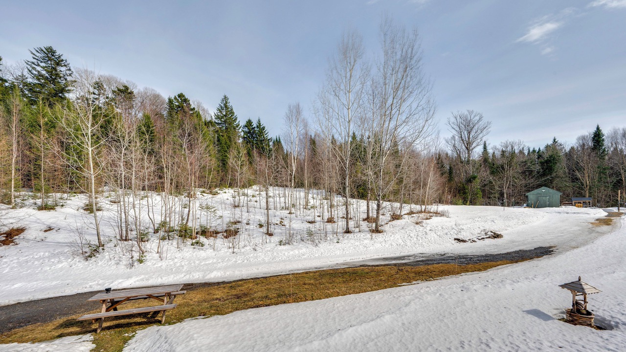 Photo of Others in Walden