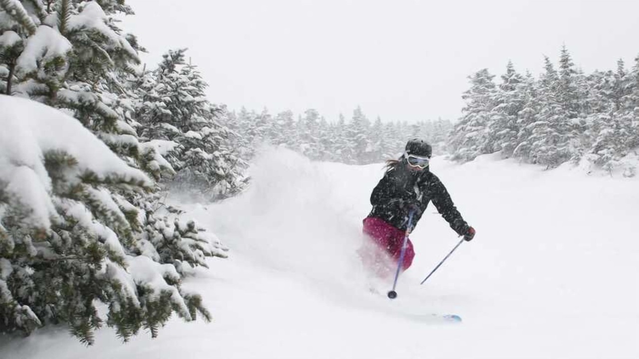 Photo of Others in West Dover