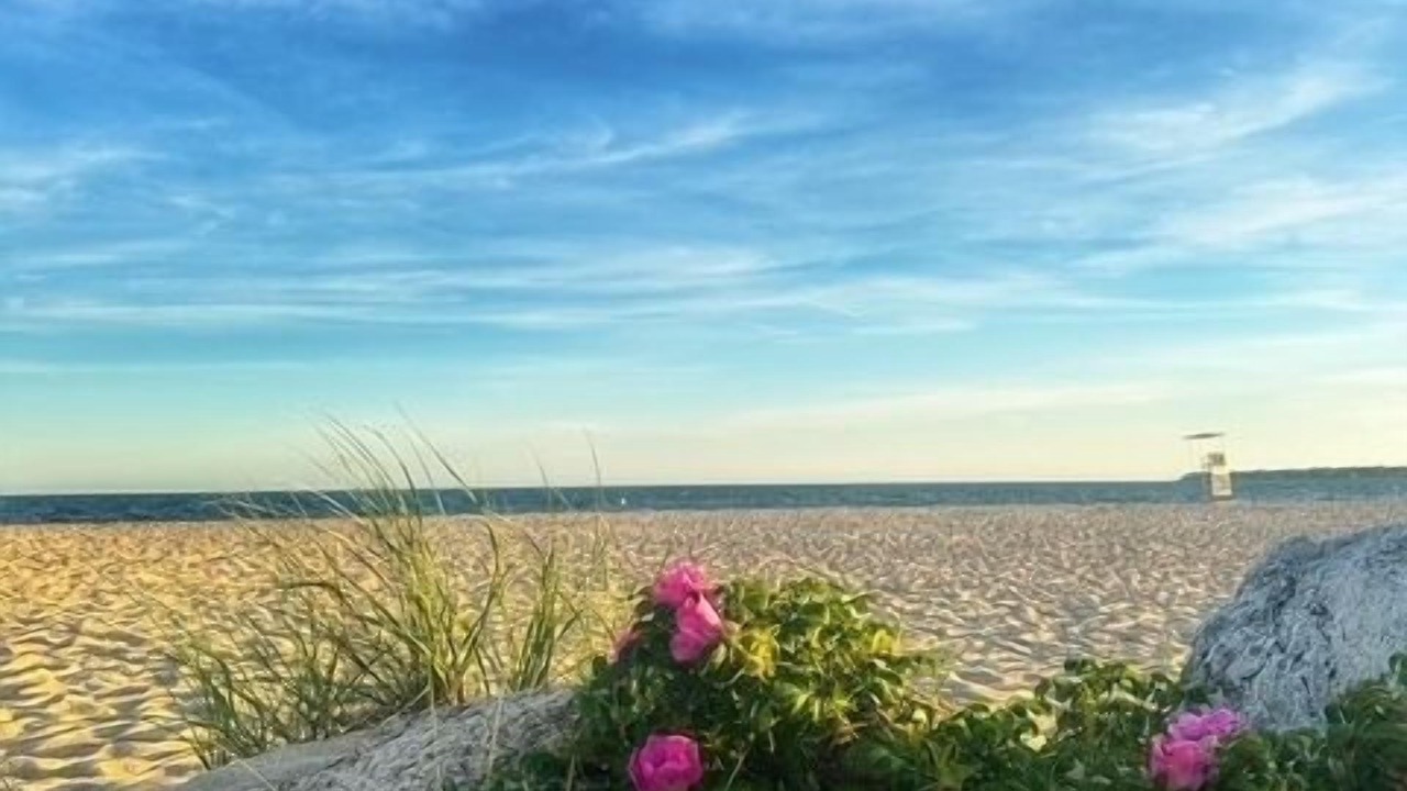 Photo of Others in Hyannis