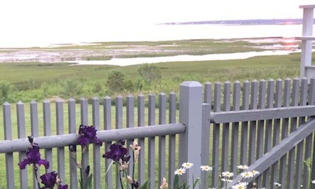 Photo of Outdoor in Barnstable