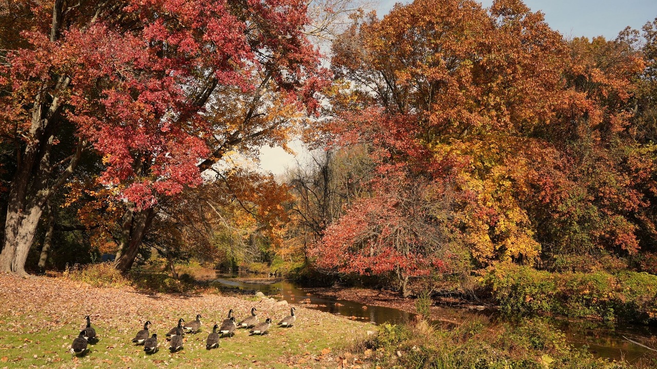 Photo of Others in Stamford