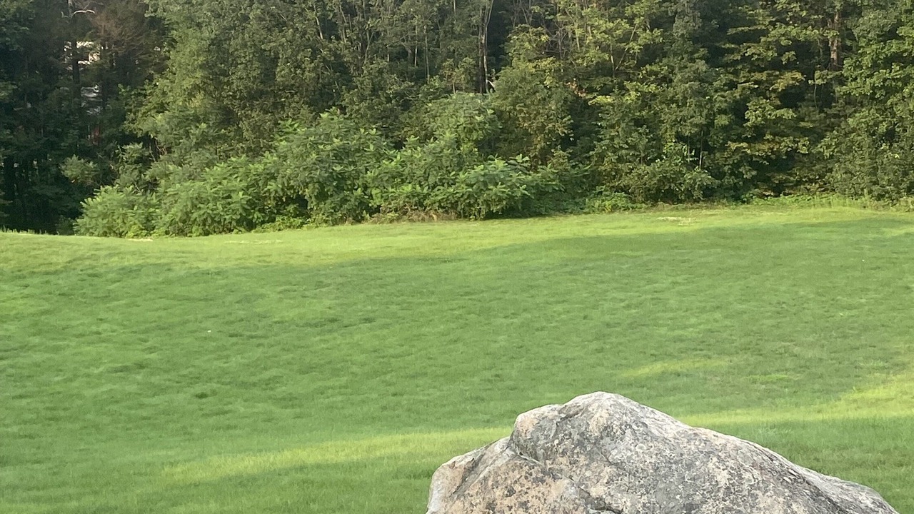 Photo of Others in North Conway