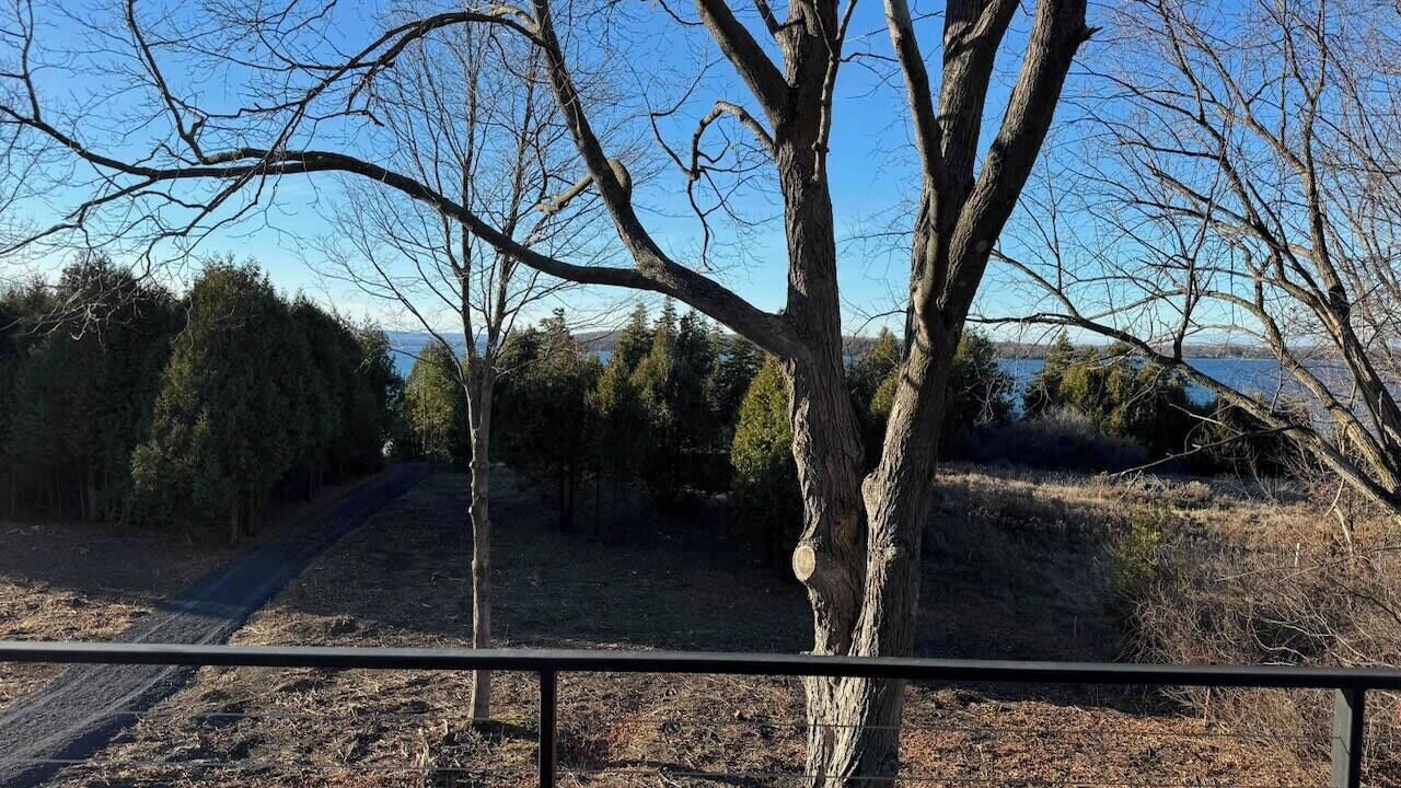 Photo of Outdoor in North Hero