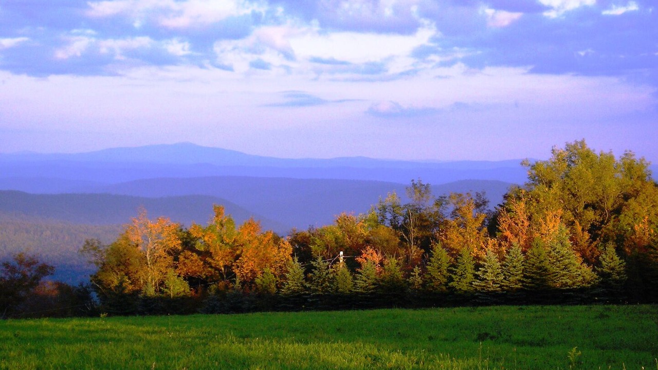 Photo of Outdoor in West Dover