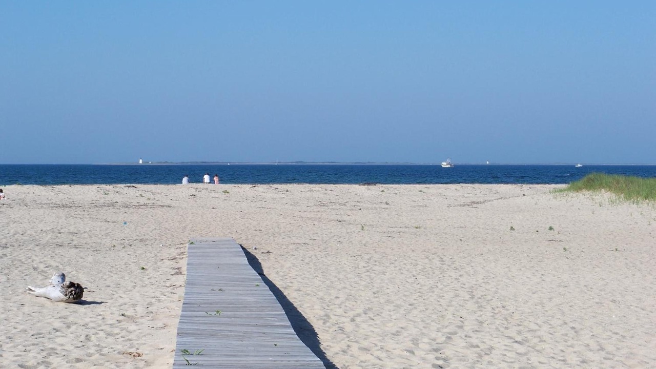 Photo of Outdoor in North Truro