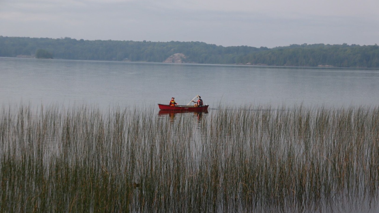 Photo of Others in Huron Shores