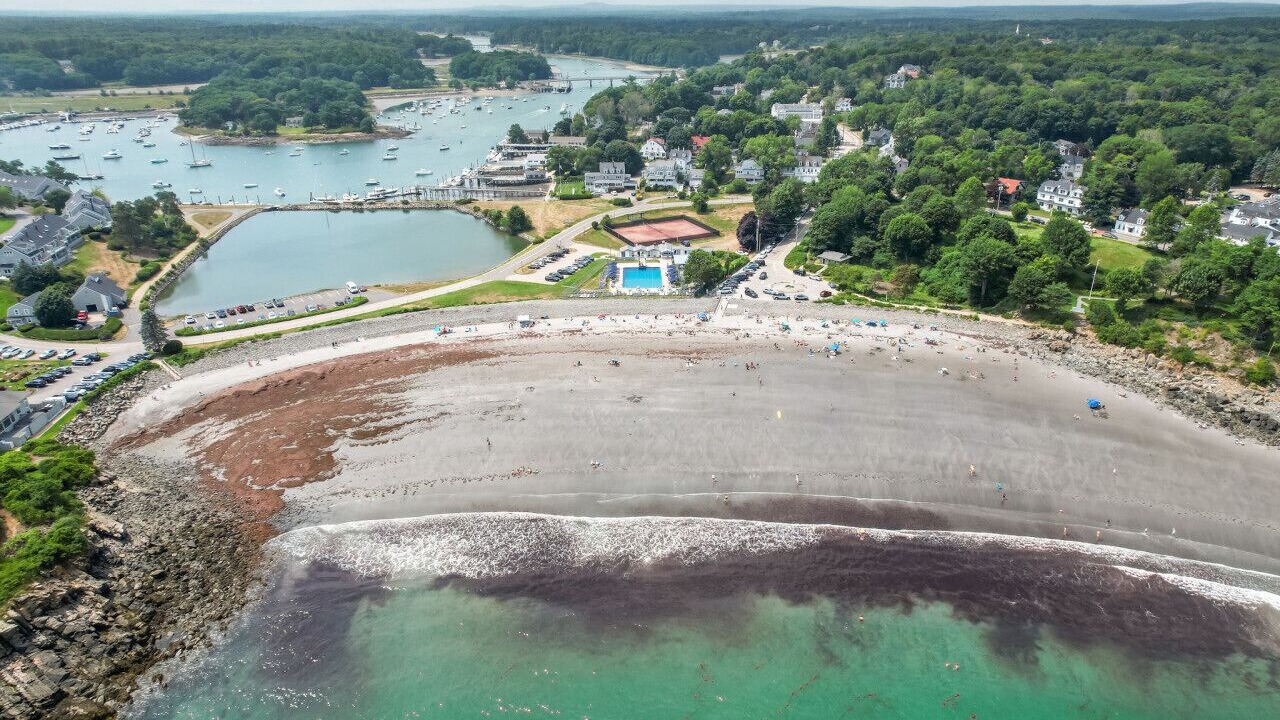 Photo of Others in York Harbor