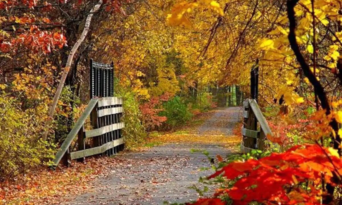 Photo of Outdoor in Amherst