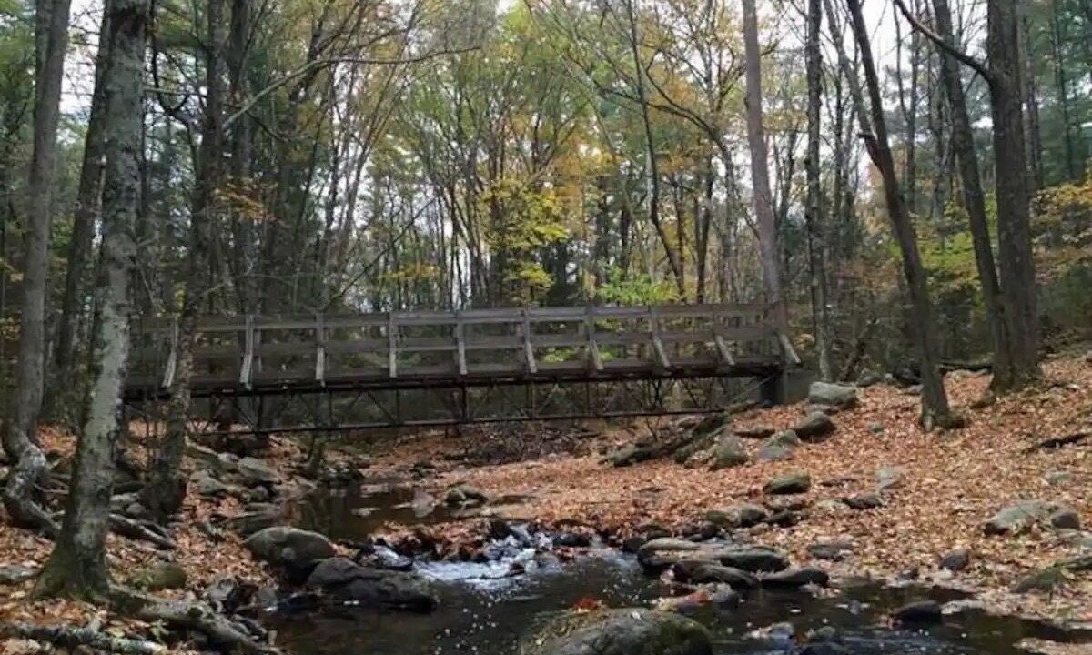 Photo of Outdoor in Amherst