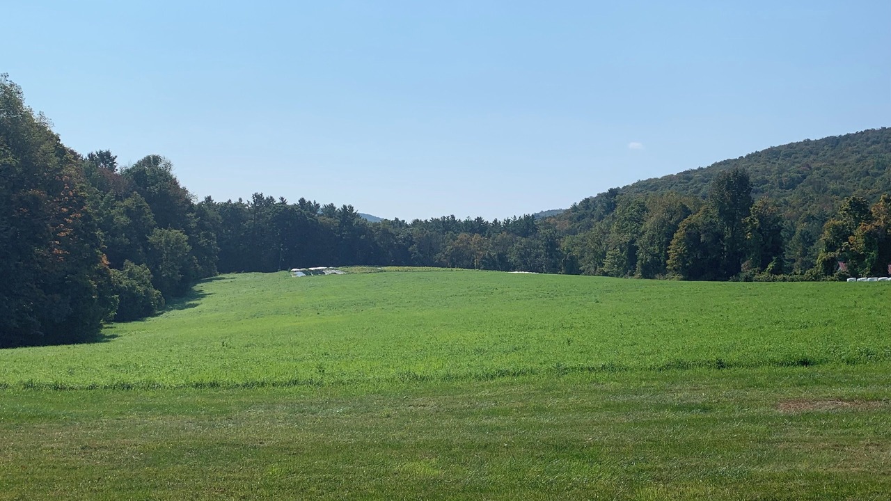 Photo of Others in Tyringham