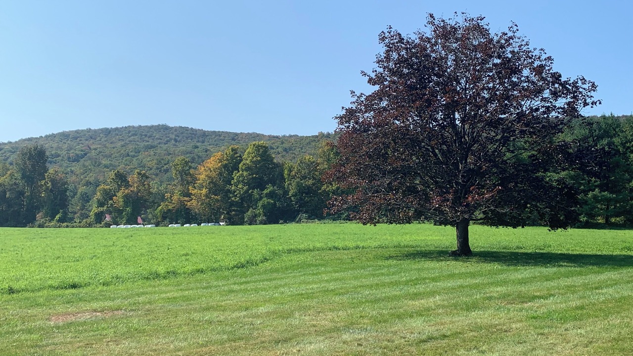Photo of Outdoor in Tyringham