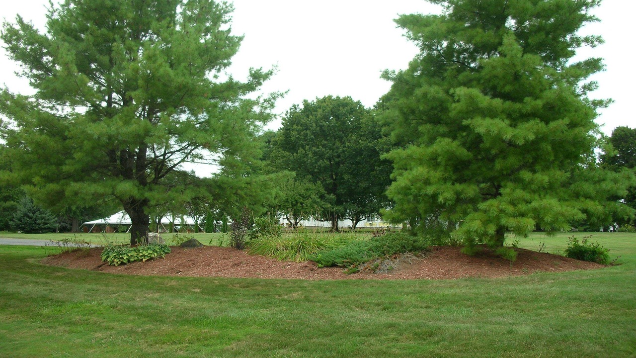 Photo of Outdoor in Lenox