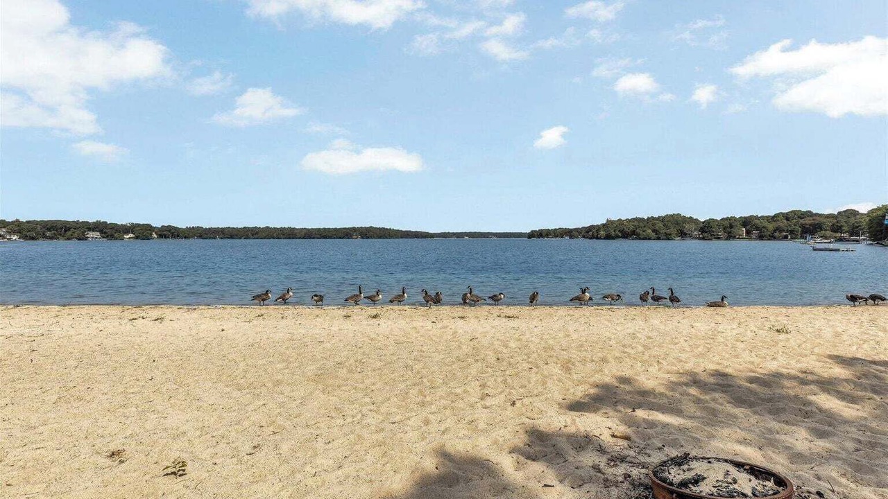 Photo of Others in Mashpee