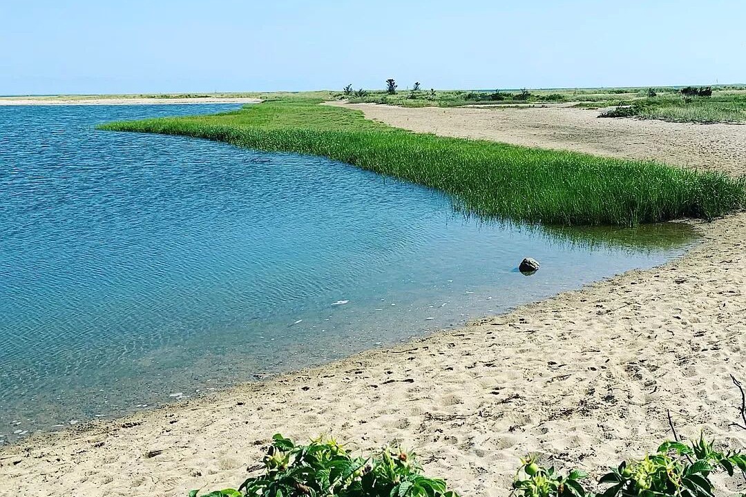 Photo of Others in Edgartown