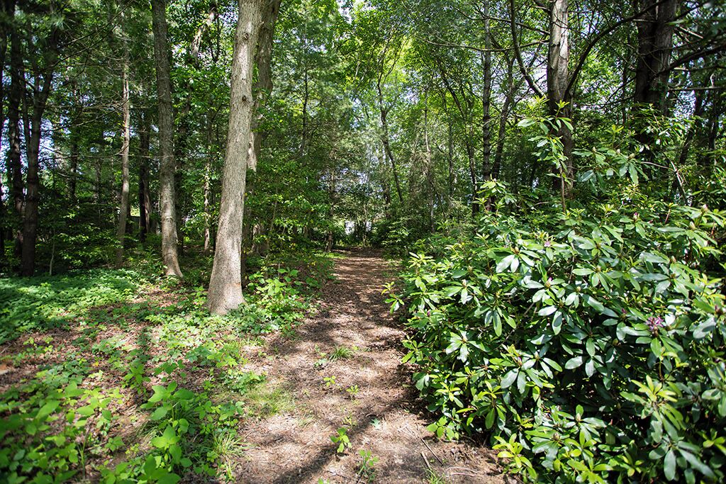 Photo of Outdoor in Mattapoisett Center