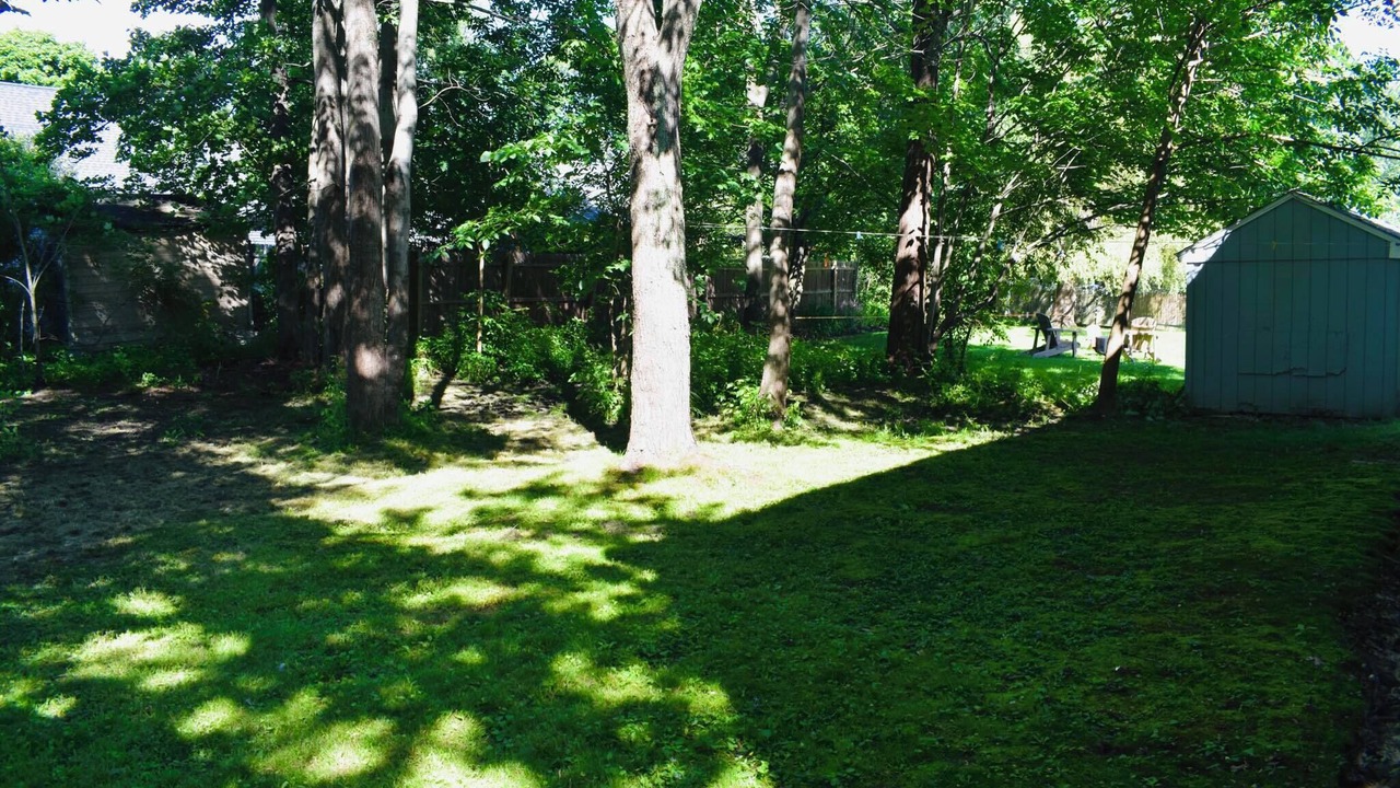 Photo of Outdoor in East Deering