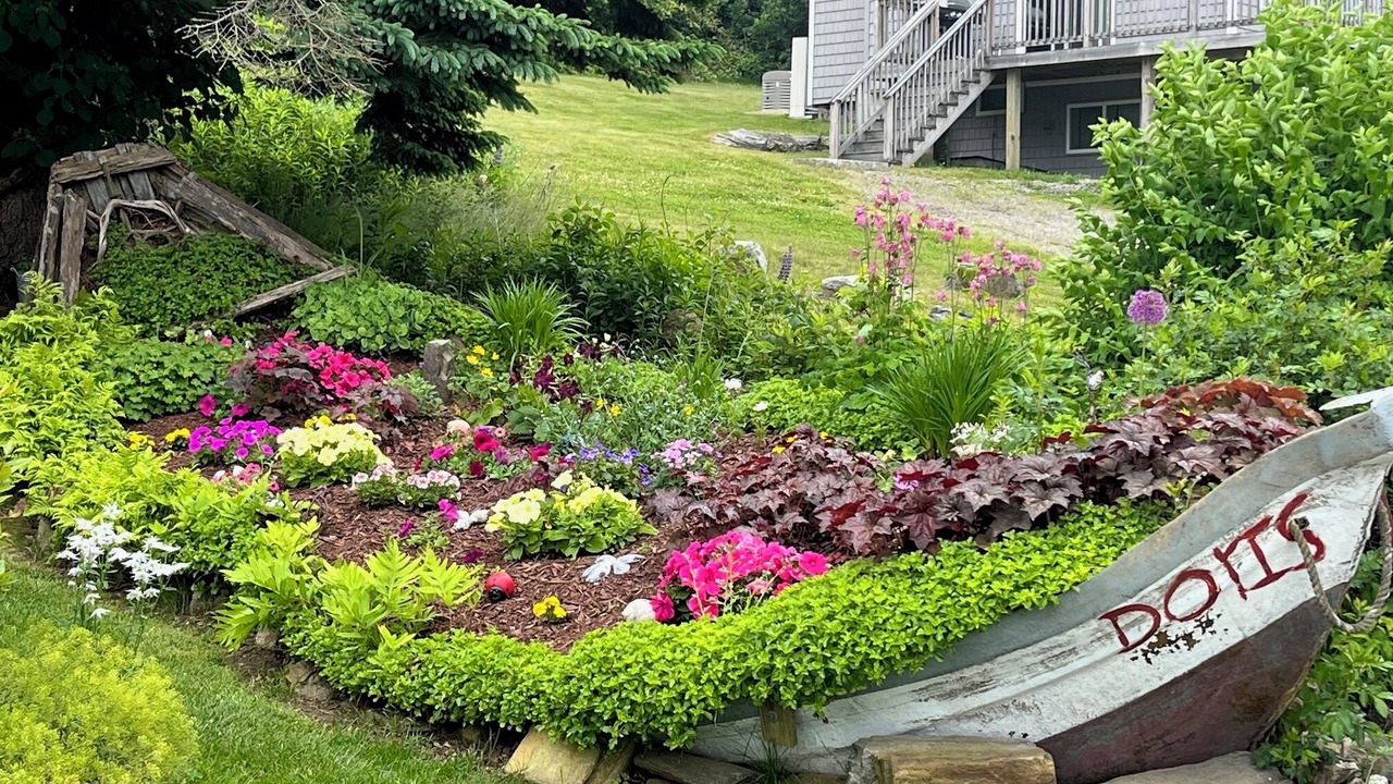 Photo of Outdoor in Mid-Coast and Islands