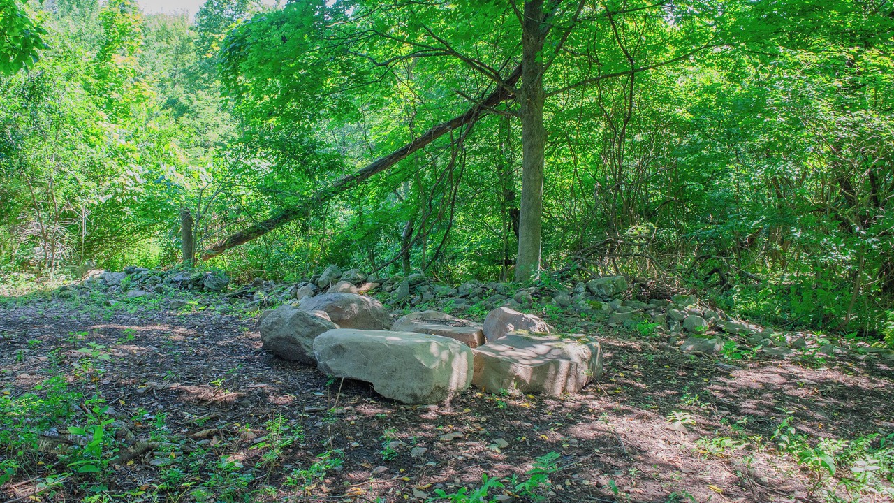 Photo of Outdoor in Marlboro