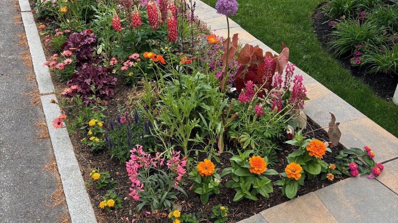 Photo of Outdoor in Lochmere