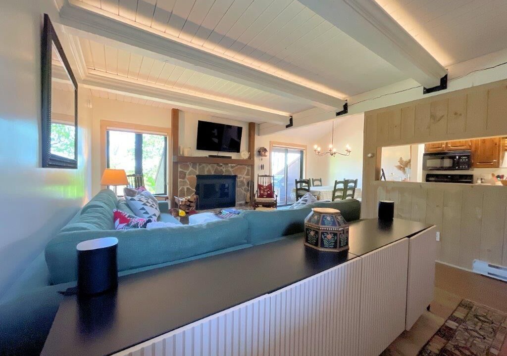 Photo of Livingroom in Bromley Mountain