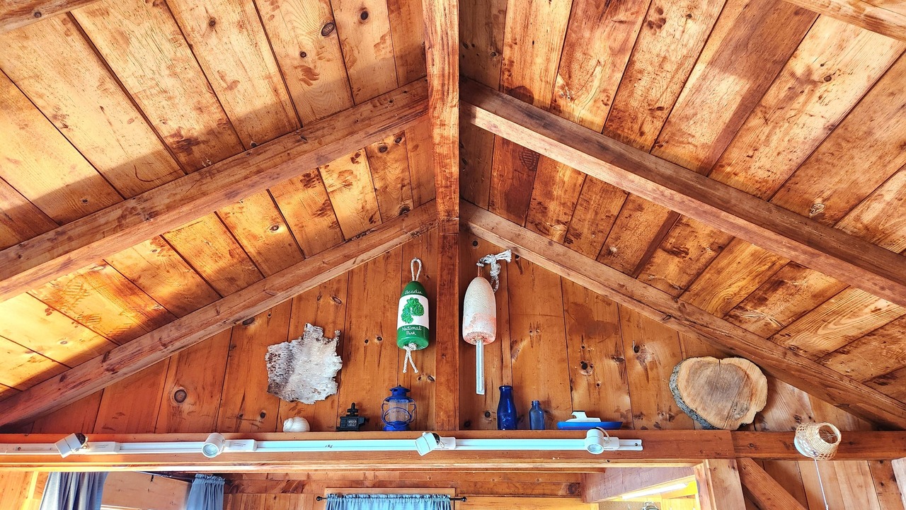 Photo of Others in Seal Cove