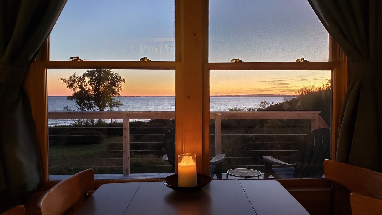 Photo of Others in Seal Cove