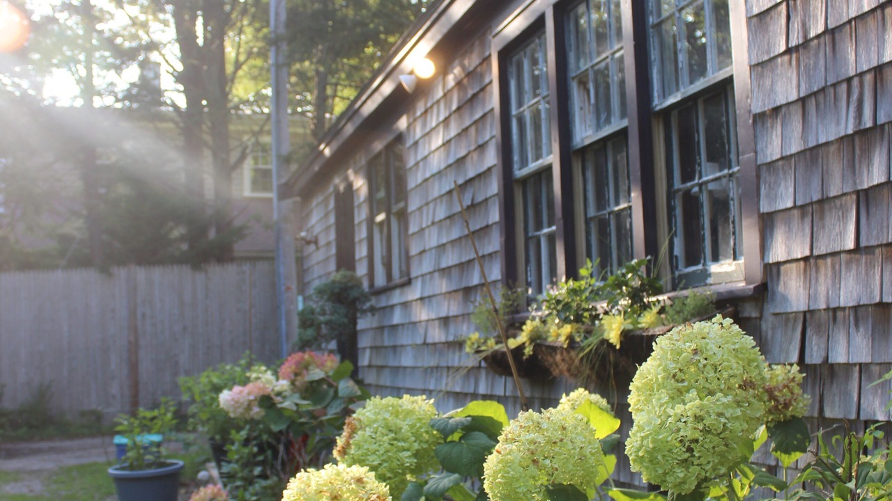 Photo of Outdoor in Barnstable