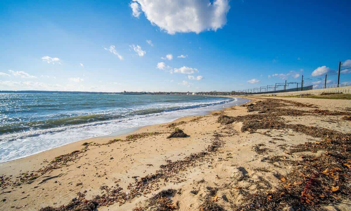 Photo of Others in Niantic