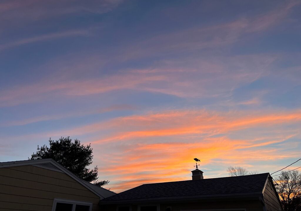 Photo of Outdoor in Rye
