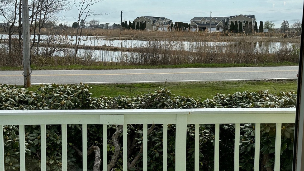 Photo of Outdoor in Rye